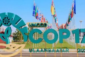Taking action for nature: Zimbabwe’s road to COP17