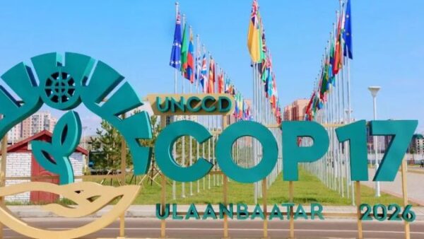 Taking action for nature: Zimbabwe’s road to COP17