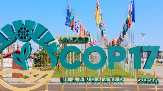 Taking action for nature: Zimbabwe’s road to COP17