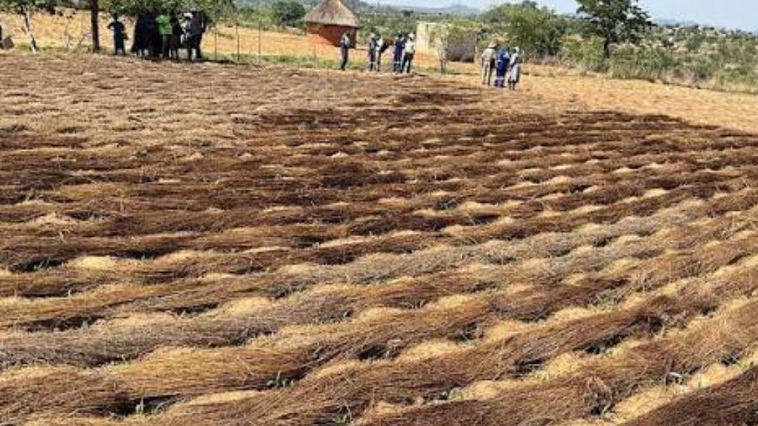 COMMENT: Farmers must not let early rains cloud their  judgment