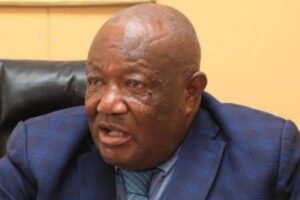 ‘Outcomes of ruling party indaba to further drive national development’