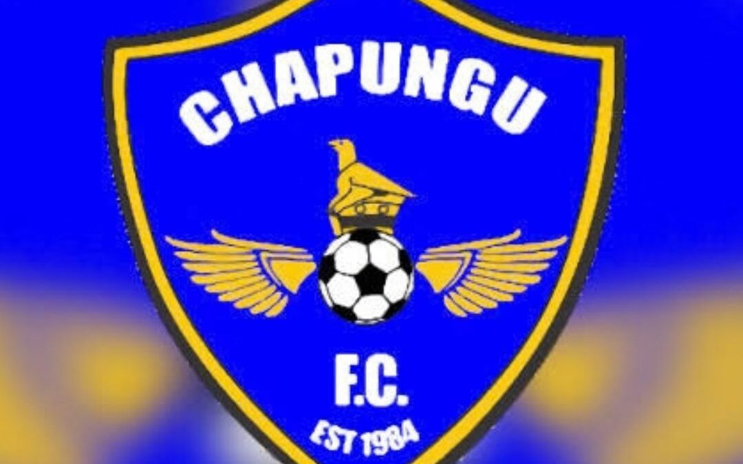 Chapungu loses ground in promotion race