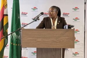 Zimbabwe, Namibia economic ties gather pace ahead of inaugural Bi-National Commission