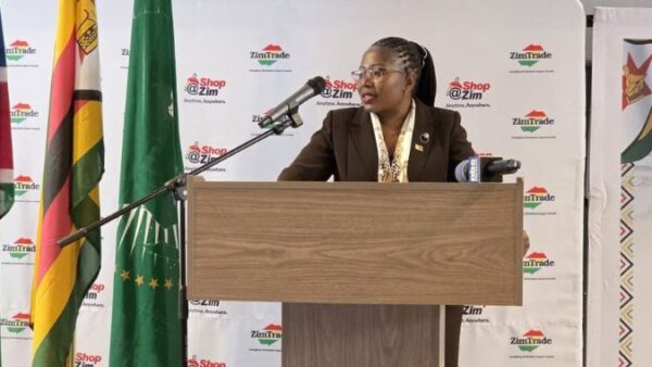 Zimbabwe, Namibia economic ties gather pace ahead of inaugural Bi-National Commission