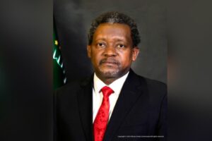 UN/AU commend  Zimbabwe’s  education model