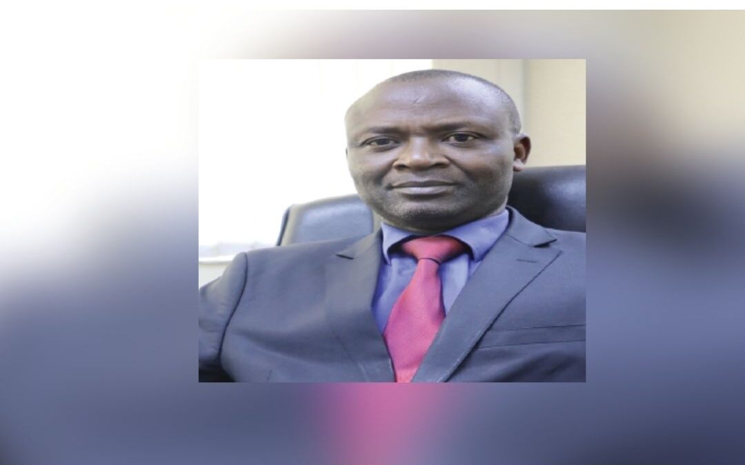 Zimbabwe poised for  massive lithium wins from beneficiation
