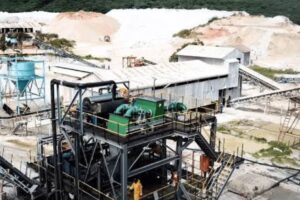 Bikita Minerals engages Government over raw lithium export deadline