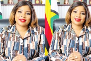 Gweru turns to commercial farming to boost council revenue