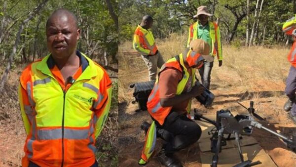 Taking forestry management to the skies