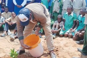 Citrus farming opens new income opportunities in Nkayi