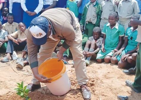 Citrus farming opens new income opportunities in Nkayi