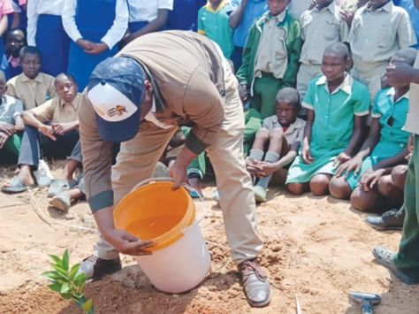 Citrus farming opens new income opportunities in Nkayi