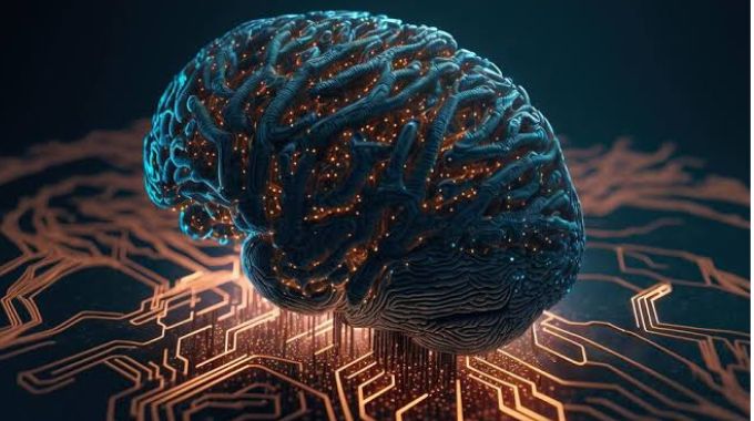 We put human brain cells in a data centre, and they’re playing Doom