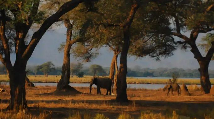 ZimParks, Ifaw deepen conservation roots in Hwange Schools
