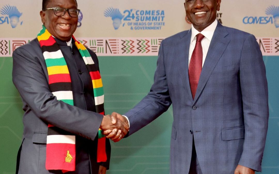 ‘Break trade barriers’. . .  Zimbabwe rallies African countries