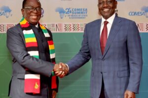 ‘Break trade barriers’. . .  Zimbabwe rallies African countries