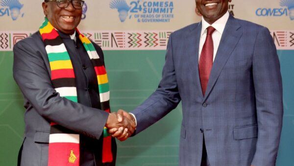 ‘Break trade barriers’. . .  Zimbabwe rallies African countries