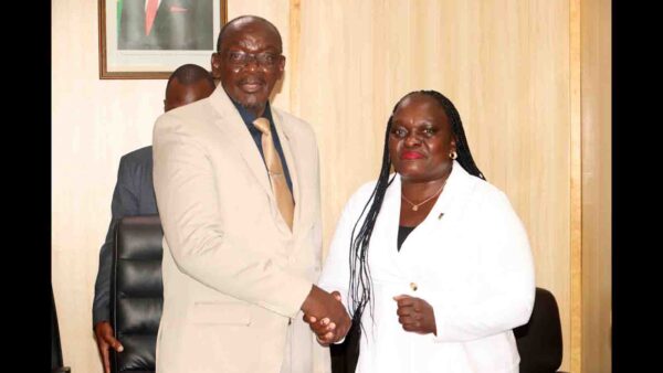 Kenyan Ambassador pays courtesy call on VP Mohadi