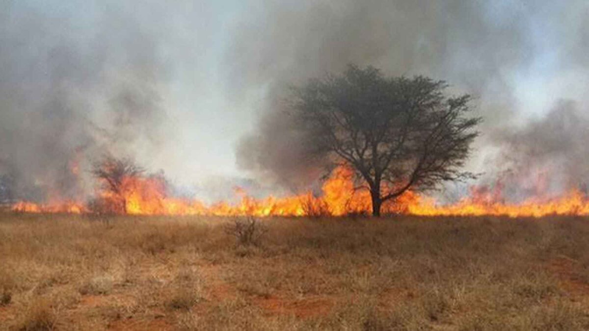 Granny (97) dies in veld fire while collecting grass