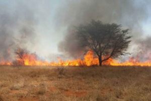 Two die as veld fires threaten lives, farming investments