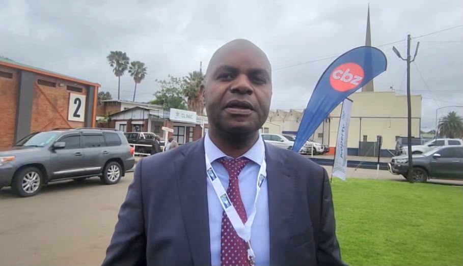 WATCH: Private capital key to infrastructure drive – IDBZ