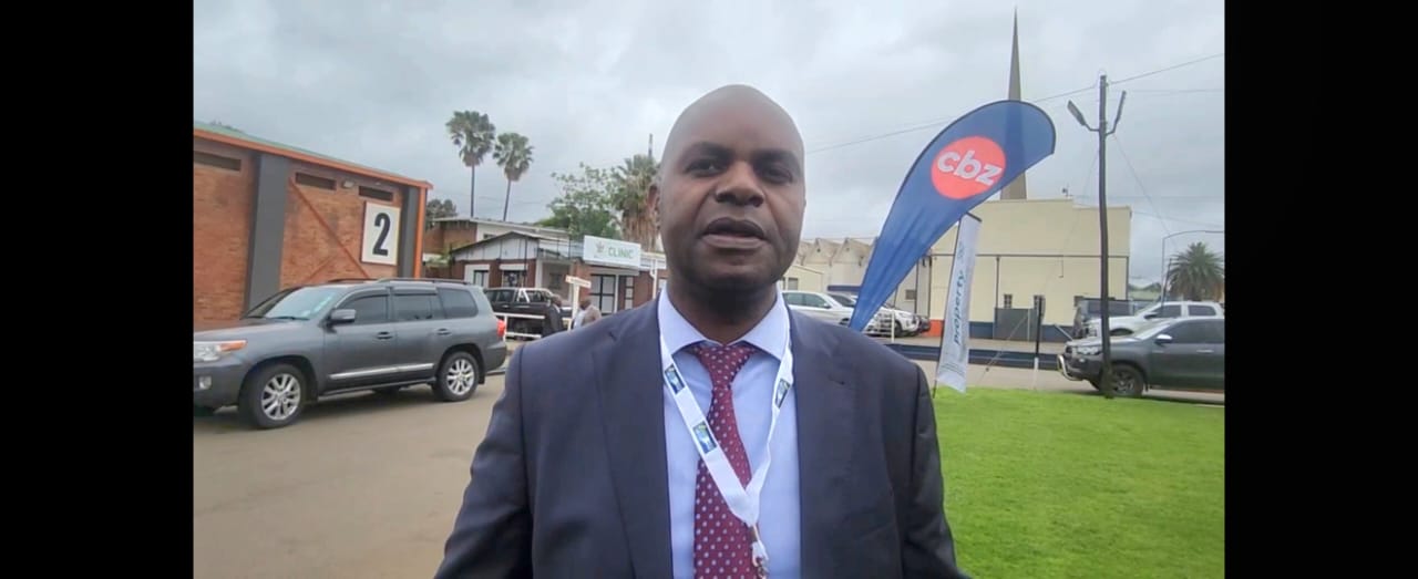 WATCH: Private capital key to infrastructure drive – IDBZ