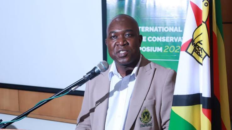 ZimParks urges local value addition as ivory stockpile hits 100 tonnes