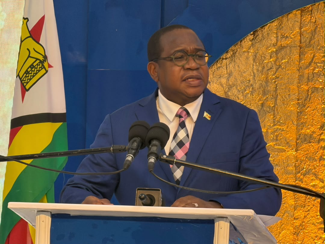 WATCH: Zimbabwe targets regional logistics hub status