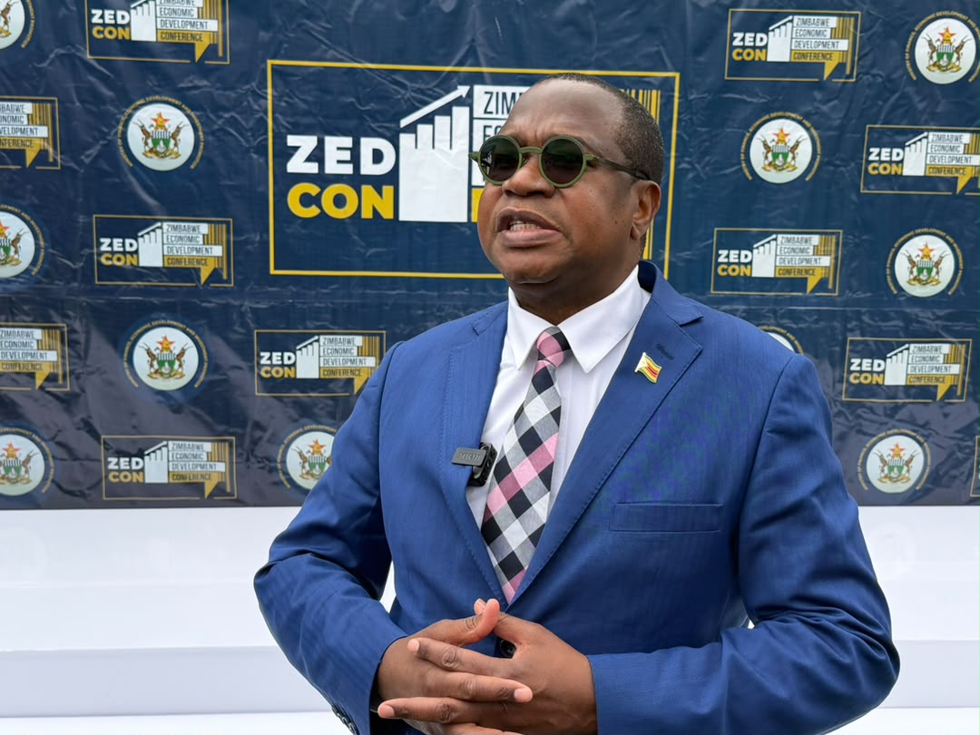 WATCH: Prof Ncube backs new fiscal rules as Budget deadline set