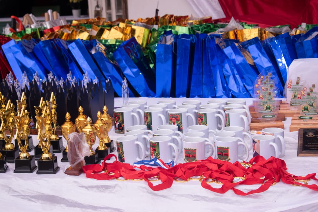 110 scoop excellence awards at Plumtree High. . . End-of-year speech and prize-giving ceremony inspires learners