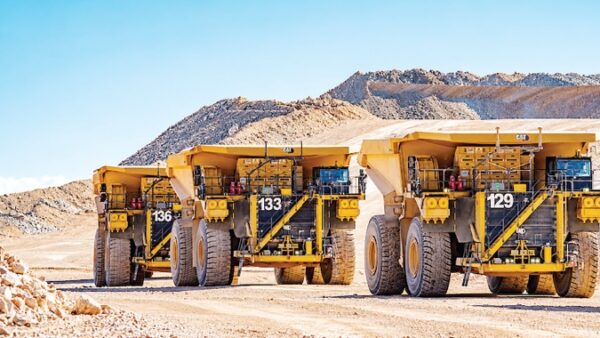 RioZim bounces back with ZiG1,3bn net profit