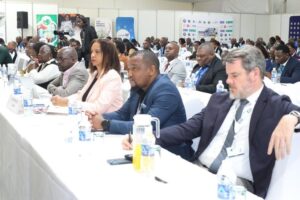 AfCFTA success hinges on infrastructure, financing — AfDB