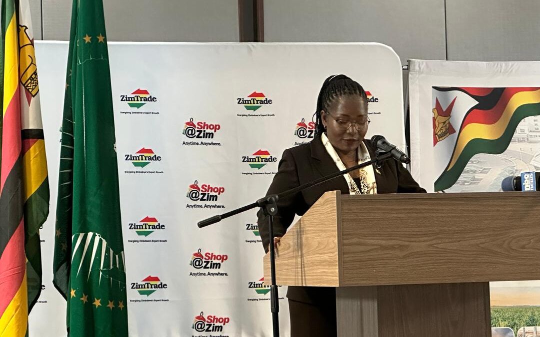 WATCH: Moving beyond diplomacy, Amb Melody Chaurura leads Zimbabwe trade mission to Namibia