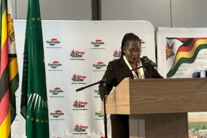 WATCH: Moving beyond diplomacy, Amb Melody Chaurura leads Zimbabwe trade mission to Namibia