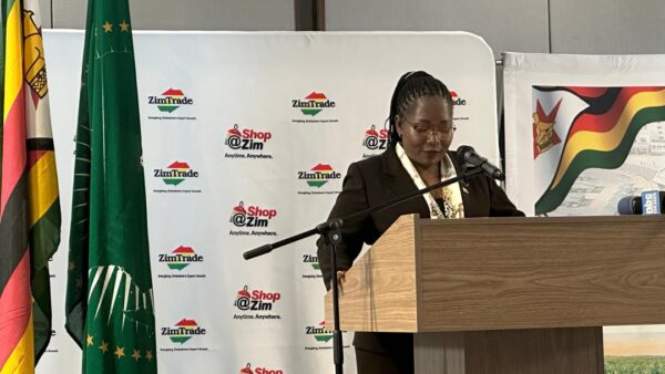 WATCH: Moving beyond diplomacy, Amb Melody Chaurura leads Zimbabwe trade mission to Namibia