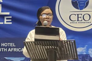 CEO Africa Roundtable: Africa must stop looking outward for trade, tech, says Prod Madonsela