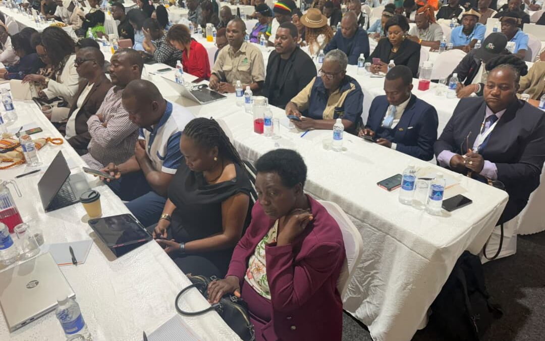 Stakeholders call for investment, jobs and growth in Zimbabwean sport