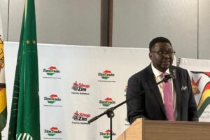 ‘Learn from Zimbabwe’ – Namibia business executive