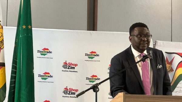 ‘Learn from Zimbabwe’ – Namibia business executive
