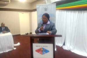 Secure nation key to development: Minister Ncube