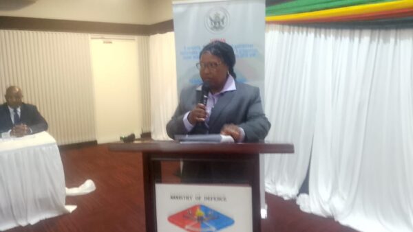 Secure nation key to development: Minister Ncube