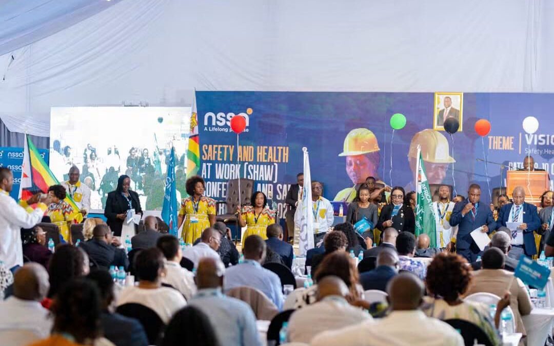 Vision Zero relaunched in Victoria Falls