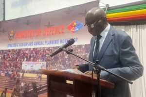 ZDF urged to drive industrialisation