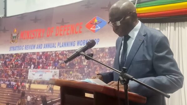 ZDF urged to drive industrialisation