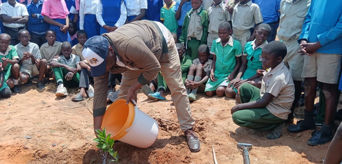 Watch: Nkayi District champions citrus tree planting drive