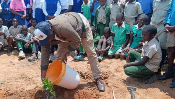 Watch: Nkayi District champions citrus tree planting drive