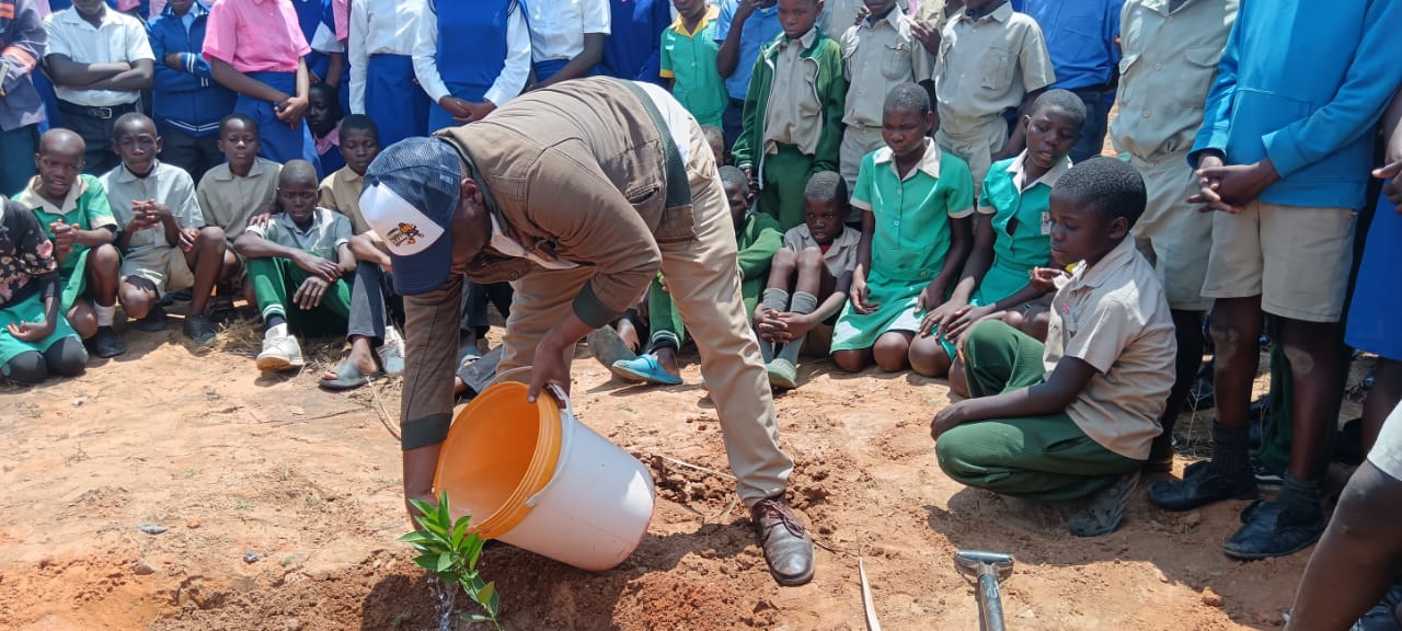 Watch: Nkayi District champions citrus tree planting drive – herald