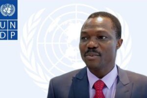 UNDP calls for more investment to scale smart rural infrastructure