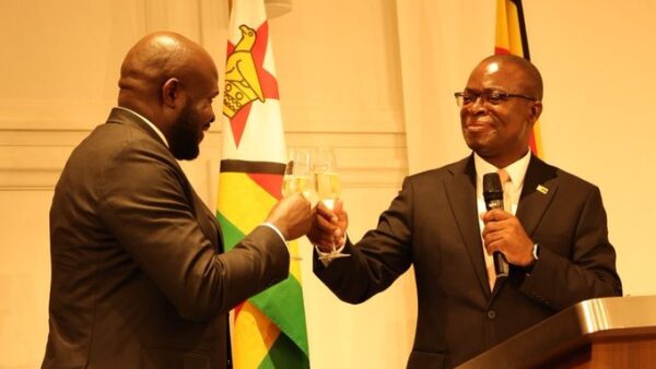 Minister Murwira: Non-Pan-Africanism ‘illegal’ under Constitution