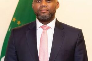 CEO Africa Roundtable: Africa needs 700 new data centres to unlock digital trade, says AFCFTA